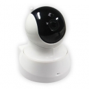 ~ ICAM/PT INTERNAL IP CAMERA