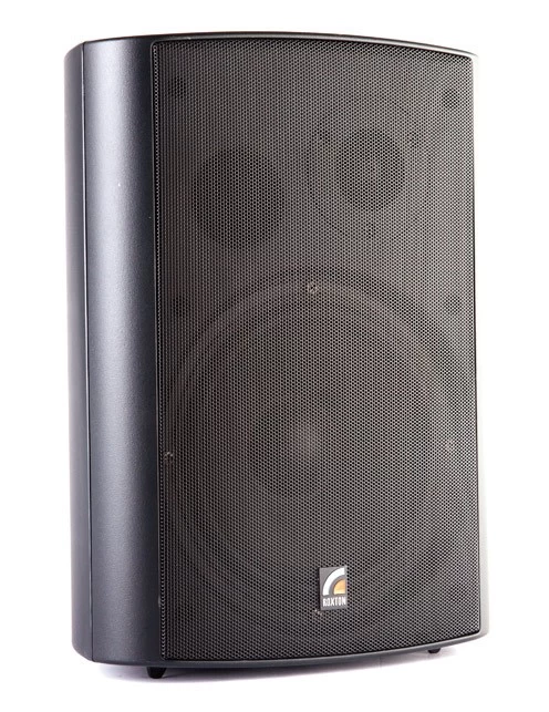 Настенный громкоговоритель Roxton MS-80TB