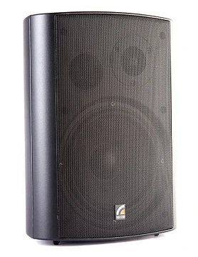 Настенный громкоговоритель Roxton MS-40TB