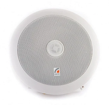 Потолочный громкоговоритель Roxton PA-20T