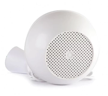 Потолочный громкоговоритель Roxton T-200