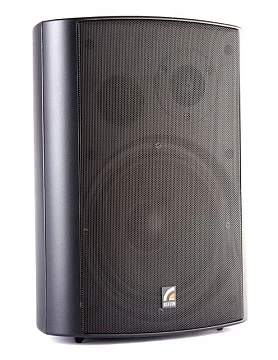 Настенный громкоговоритель Roxton MS-80TB